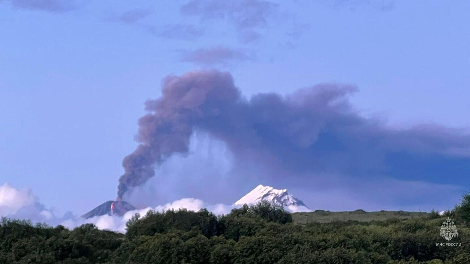 ������ ���������� �� �������� �������� ����� �� ������ �� ������ ����������