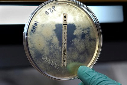 ���� �������� ��������� ������� ���������