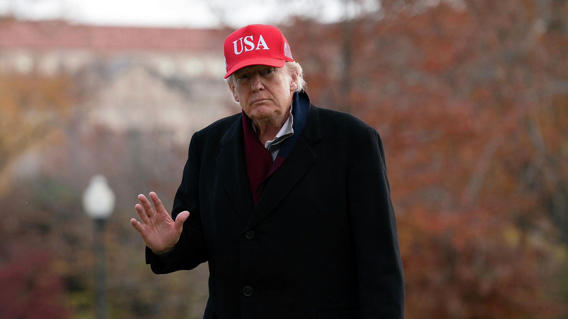 ����� ���������, ��� �������-��������� ���������� �������