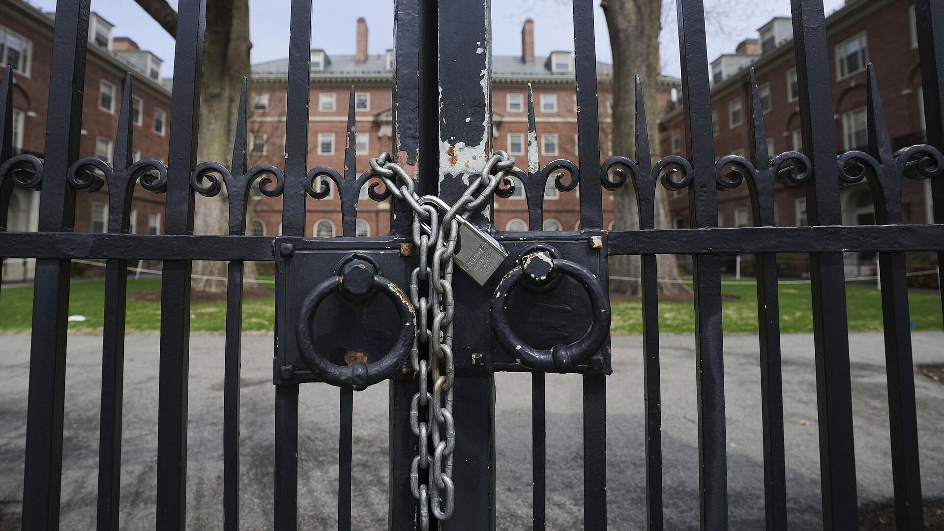 Гарвард отверг идею об открытии "кампуса в изгнании" в Германии