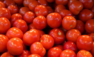 В России обнулили пошлины на ввоз ста тысяч тонн томатов