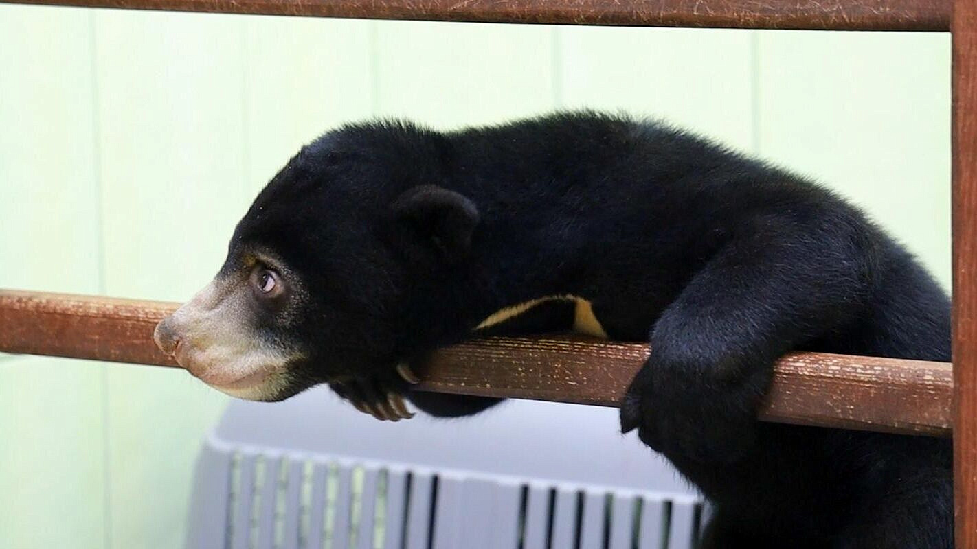 � ���������� ������� �������� ��� ���� ��������� ��������