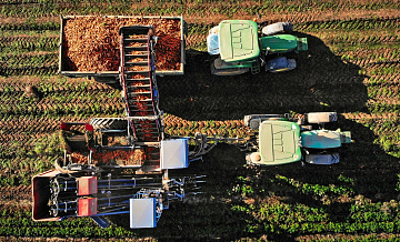 Минсельхоз оценил ситуацию на продовольственном рынке