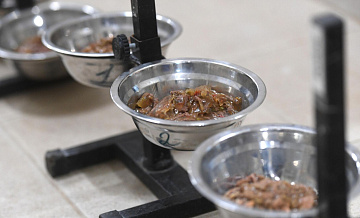 Россия сократила импорт кормов для кошек и собак