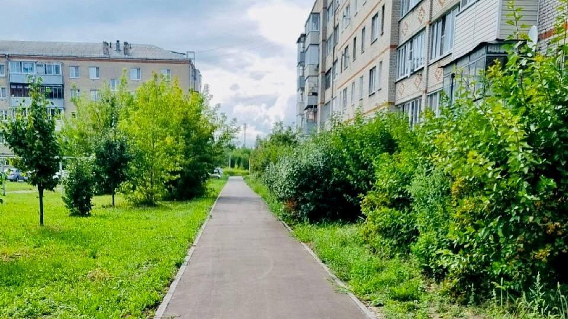 Более 300 "народных троп" к соцобъектам благоустроят в Подмосковье