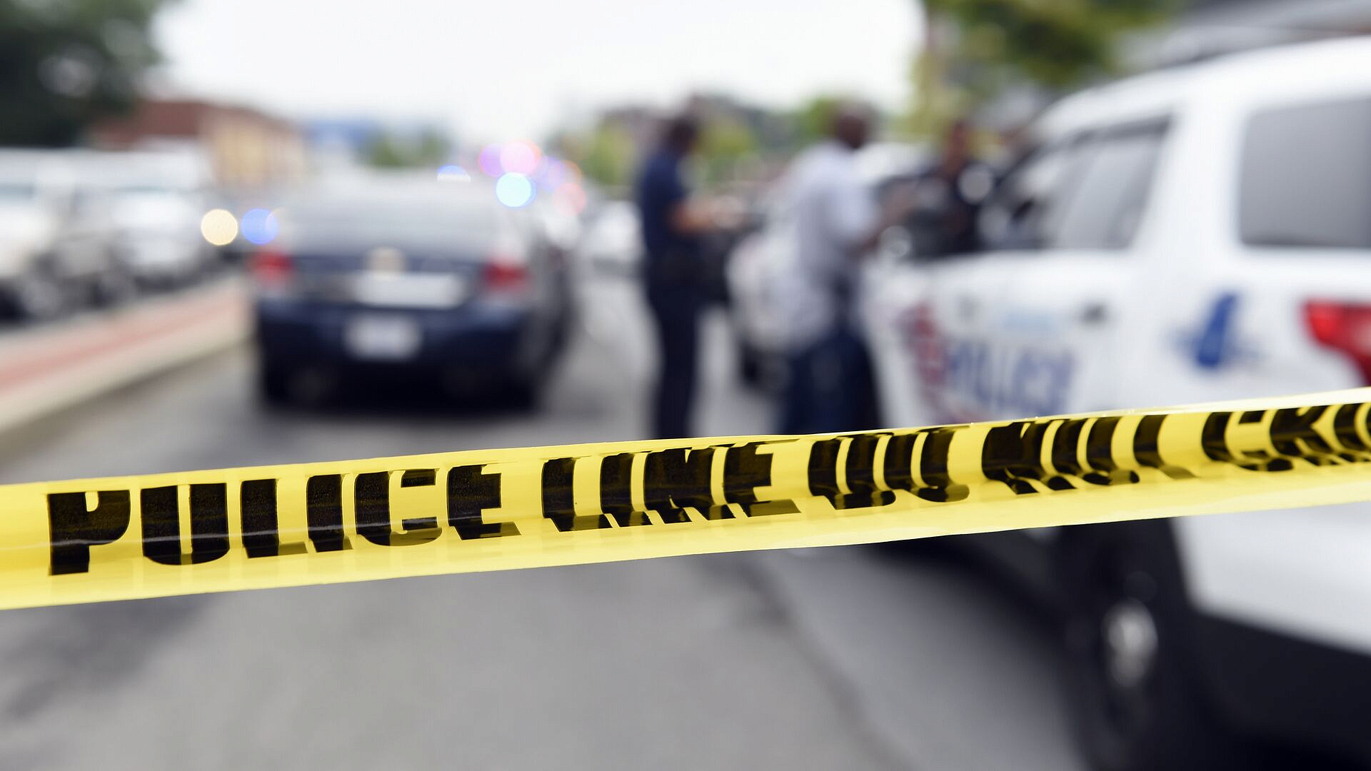 � ��� ����������� ������� �������� � ������� ������������ ������������