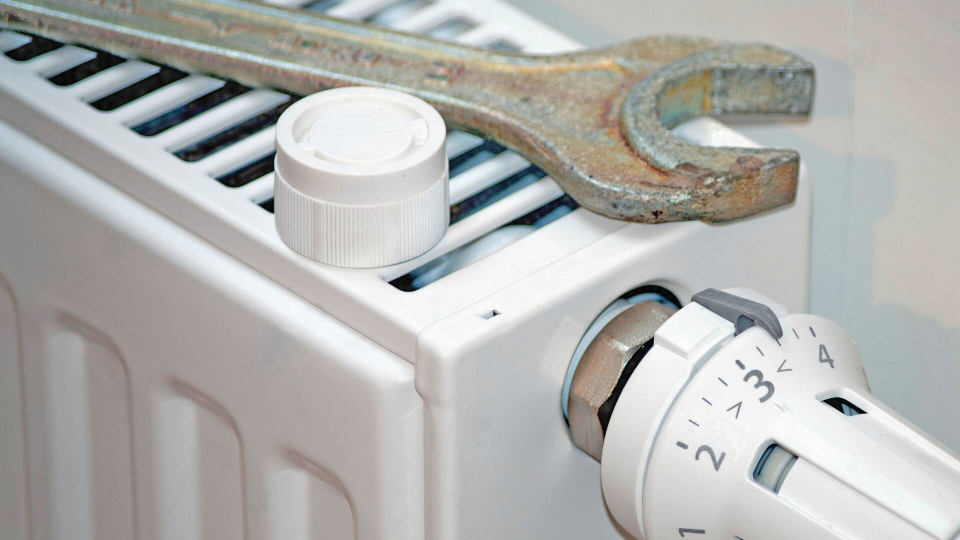 � ������ ����� �����, ���������� ��� ���������, ��������� �� 31