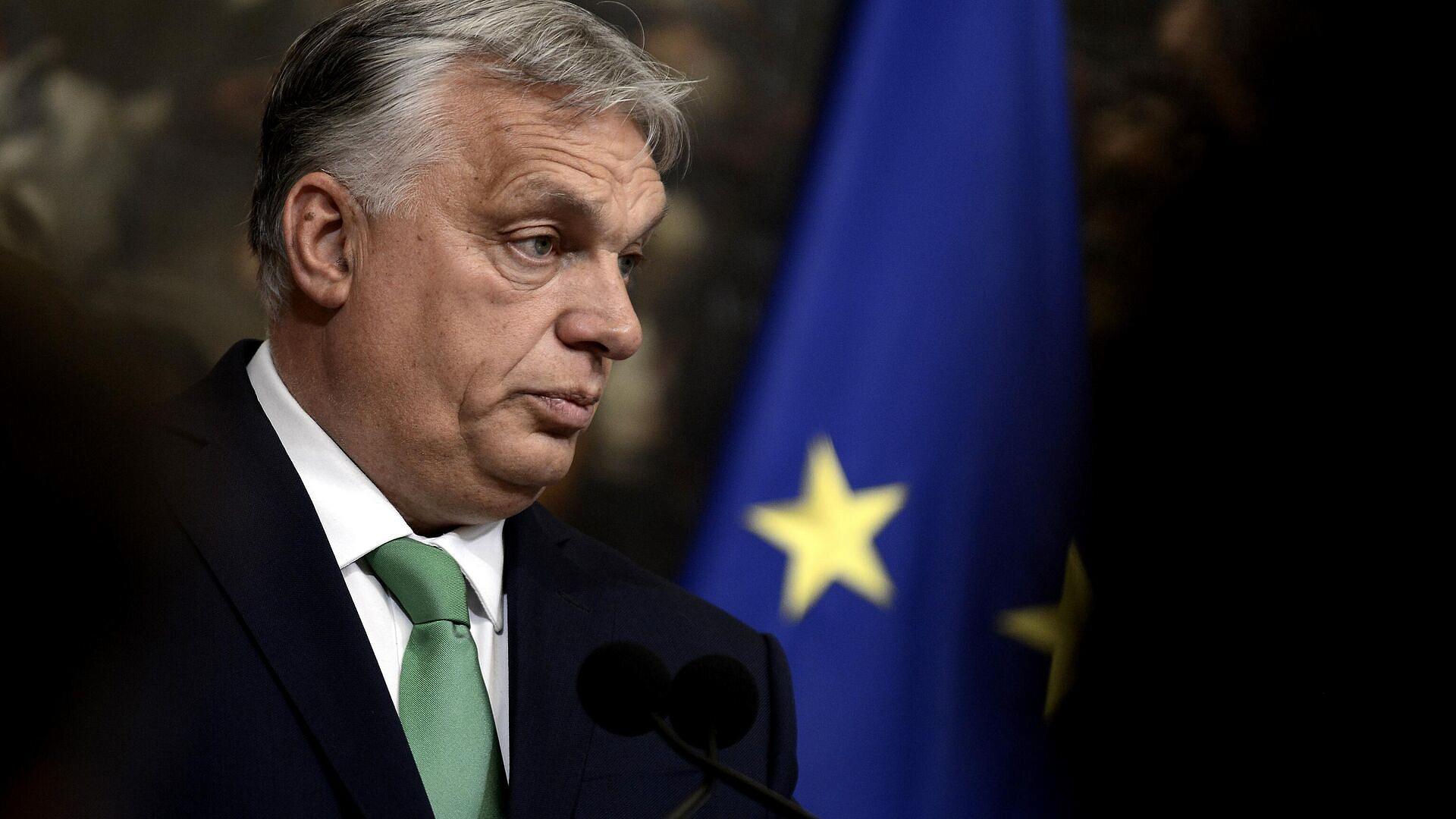 ����� ������� ������ ������� �������