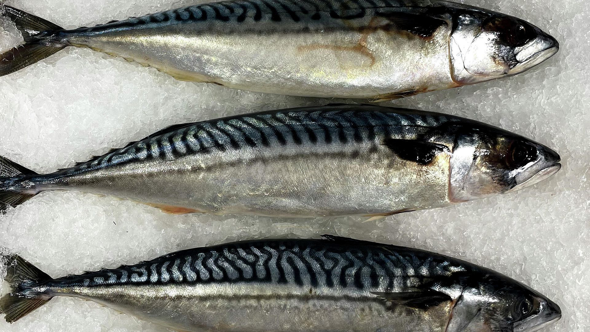 Врач назвала продукт, который поможет школьнику успешно начать учебный год