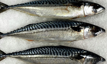 Врач назвала продукт, который поможет школьнику успешно начать учебный год