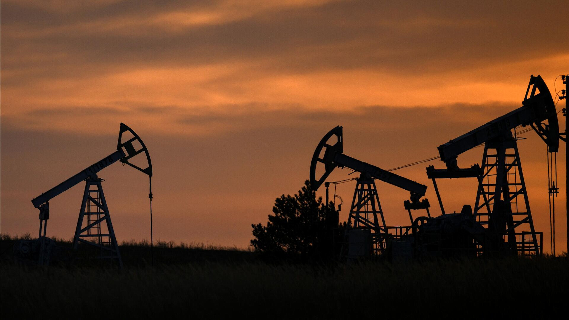 Новак рассказал о снижении нефтепереработки в России по итогам года