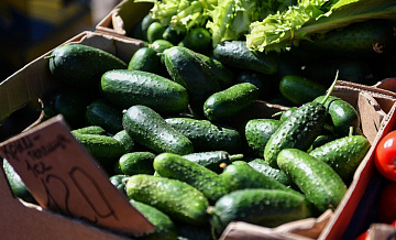 В России подешевели огурцы, морковь и куриные яйца