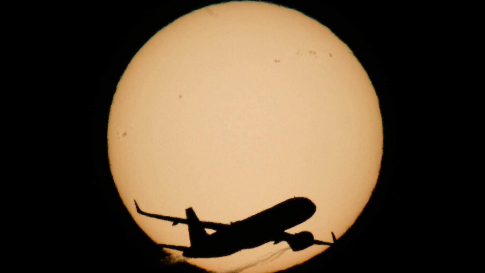 В аэропорту Жуковский ввели временные ограничения