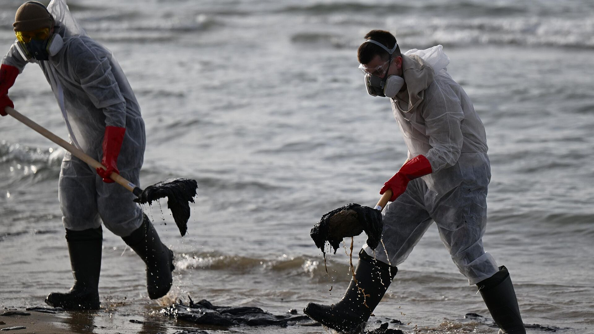 Единая Россия увеличила число волонтеров для очистки берега от мазута