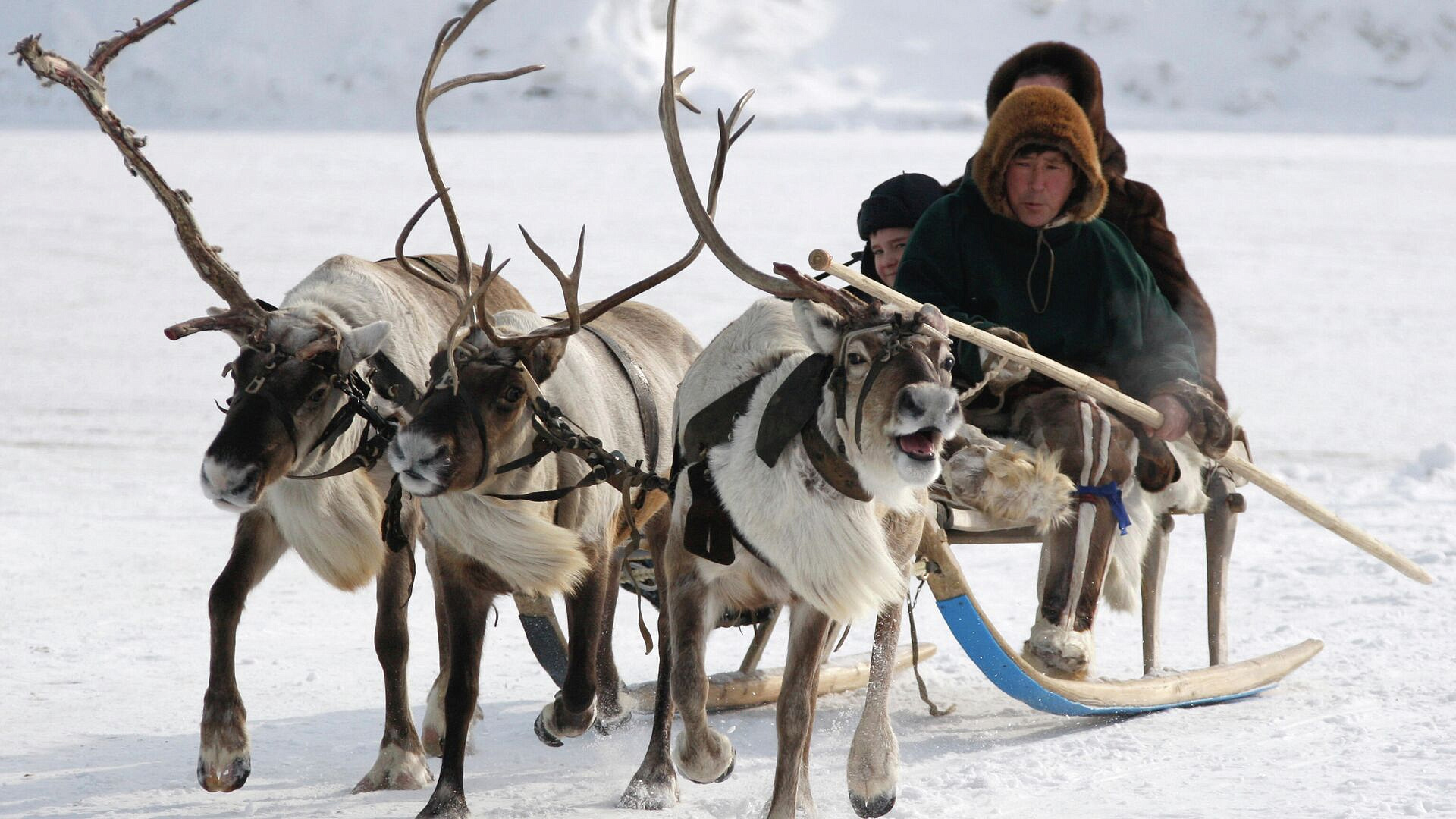 В Югре прошел День оленеводов, рыбаков и охотников