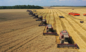 Россия смогла убрать 105 миллионов тон зерна