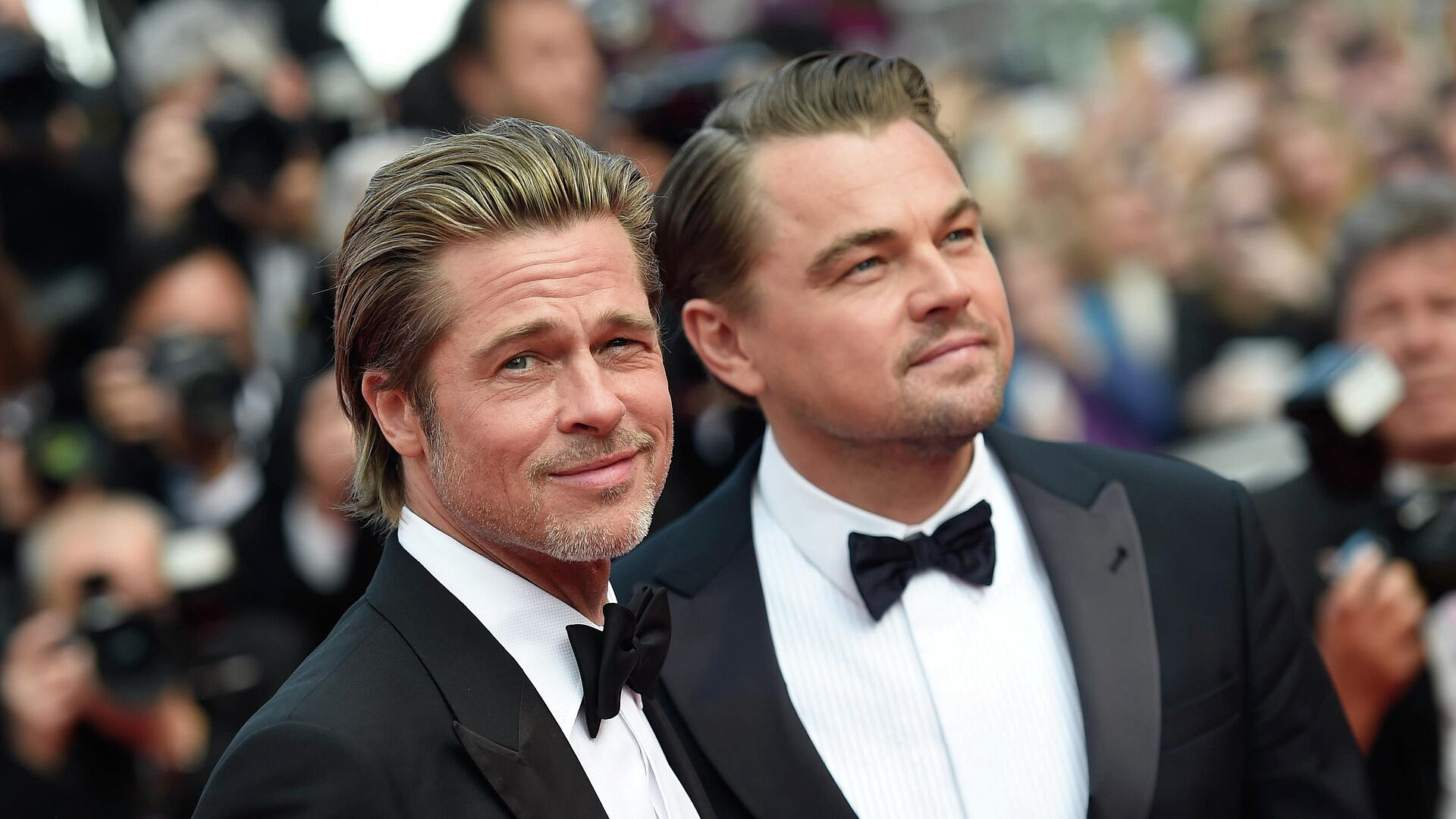 � ���������� ���� ������ �������� ���� ����������� �� �������� ������