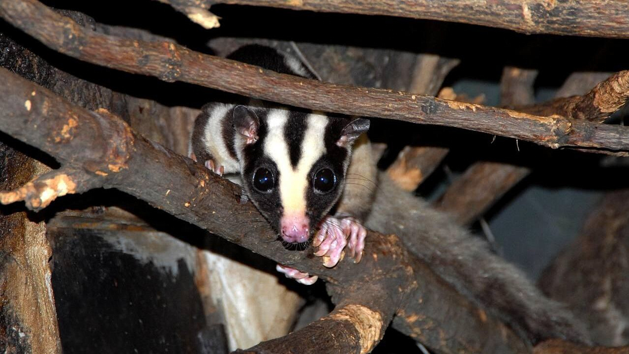 � ���������� ������� ������� ������ � ��� ������