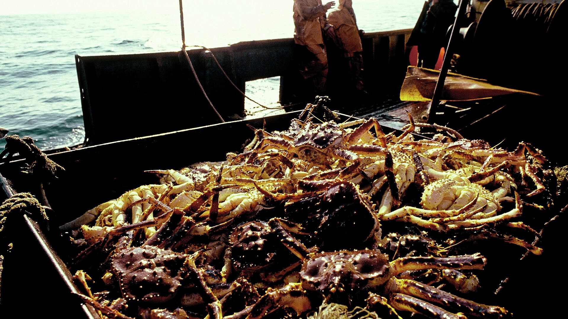 �� ������ ���� ������� ����� ������ �� ���������� ����������� �������������