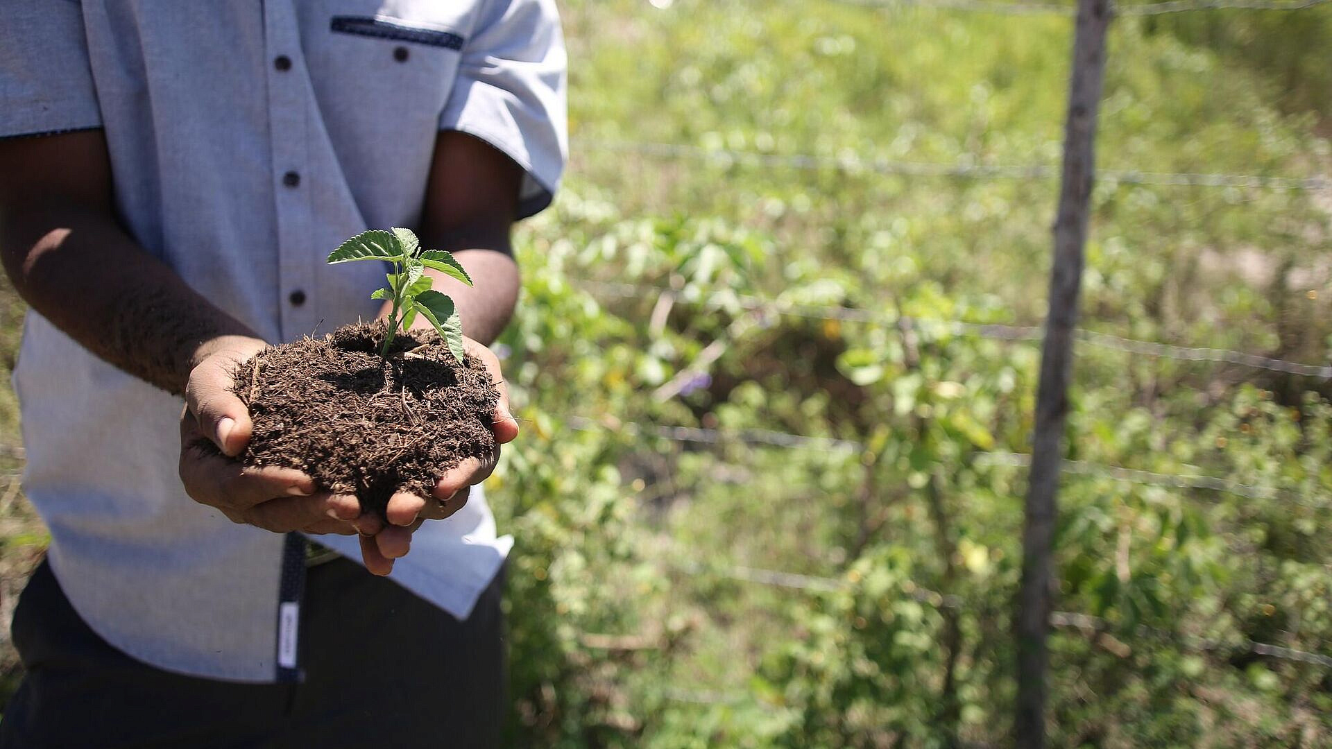 Минсельхоз может начать регулировать оборот минеральных удобрений