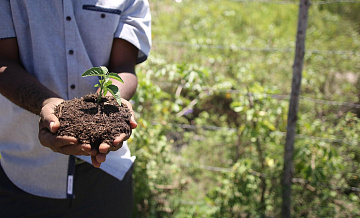 Минсельхоз может начать регулировать оборот минеральных удобрений