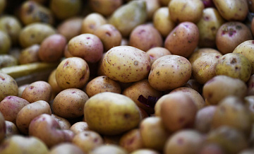 В России снизились цены на картофель