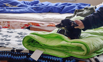 В Волжском организовали ПВР после атаки беспилотников