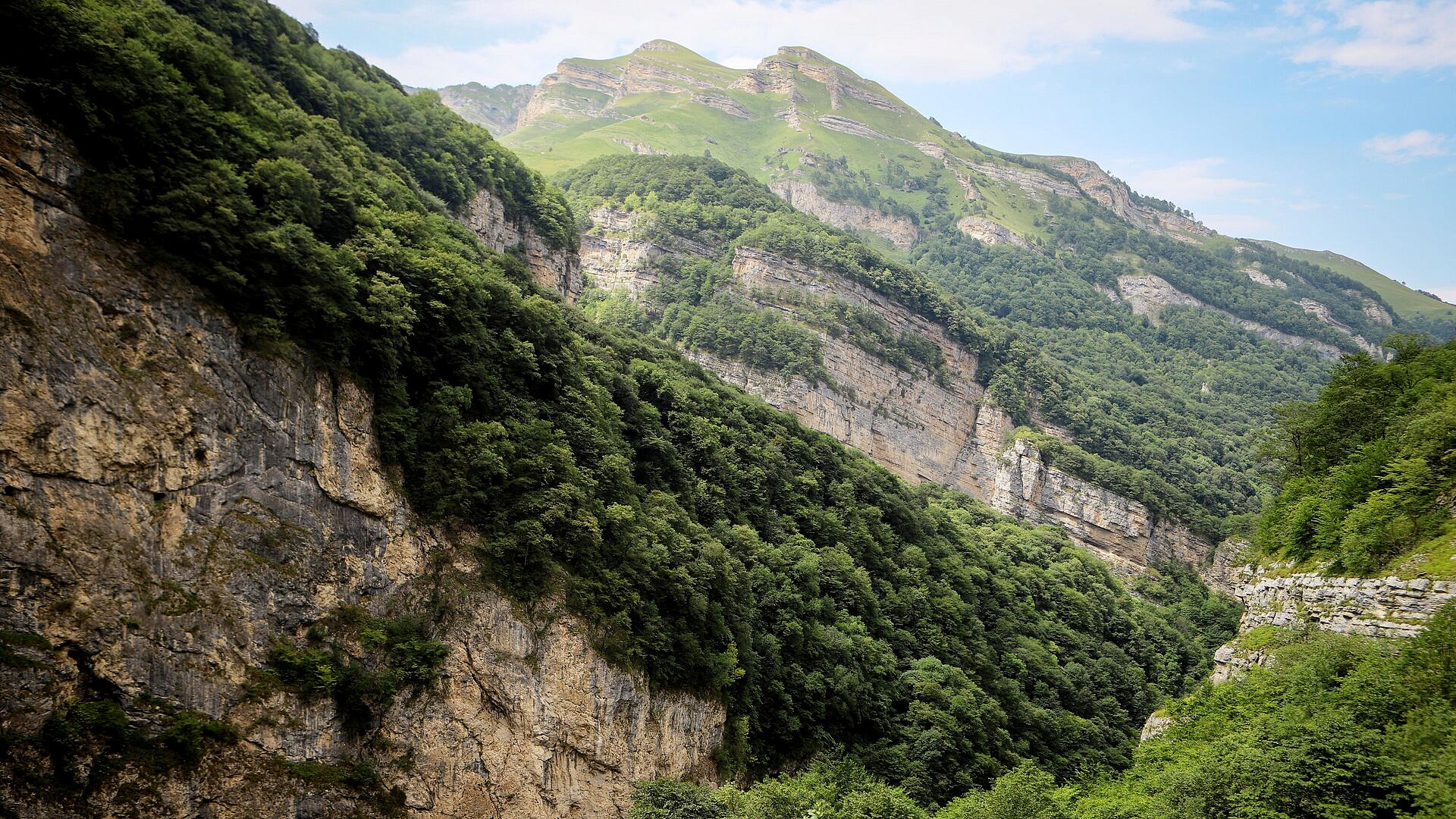 � ����� ���������-�������� �������� ����� � ����� � �������