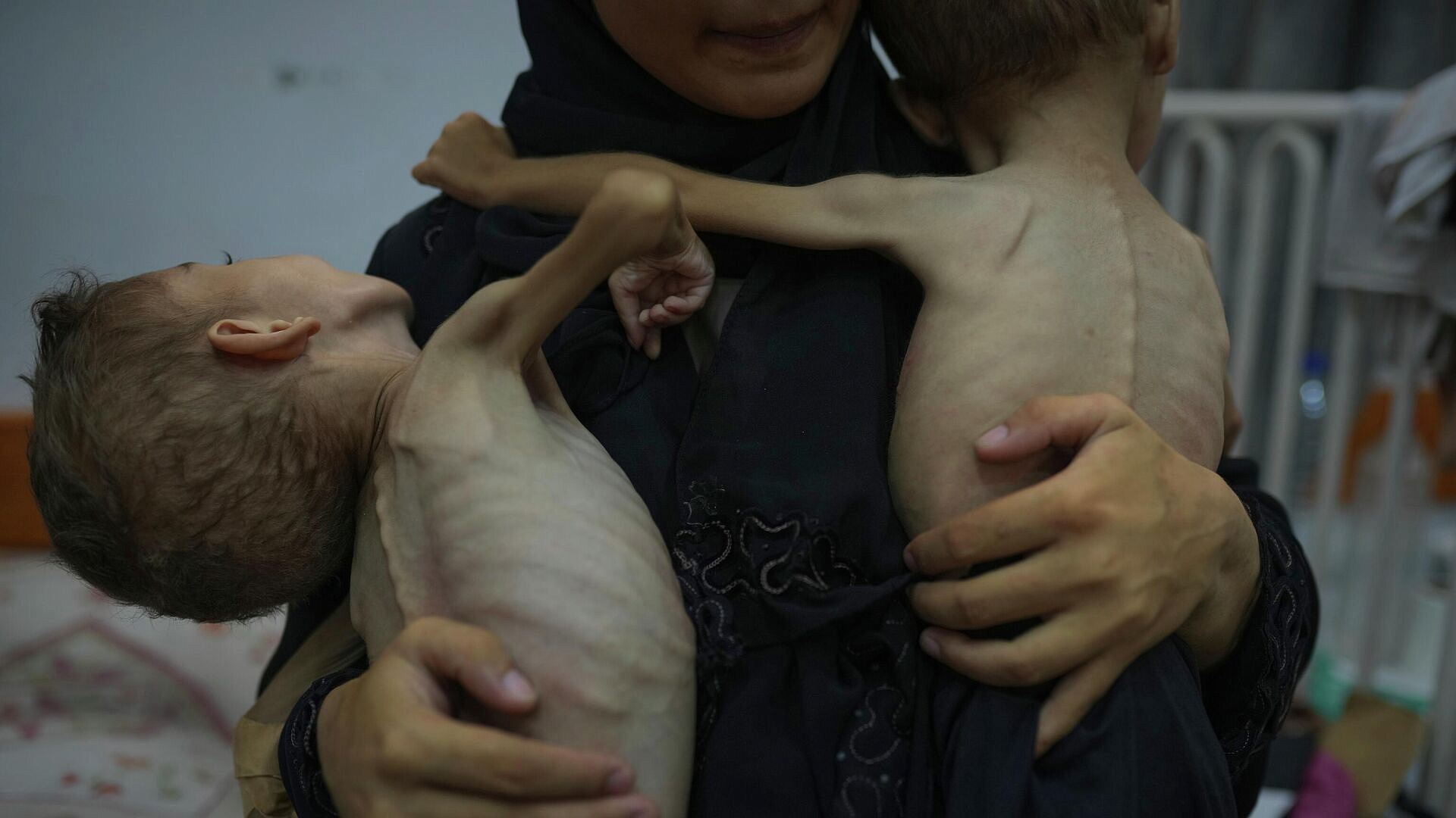 ������ ���������������� �������� ������� �� ����������� �������� ���������