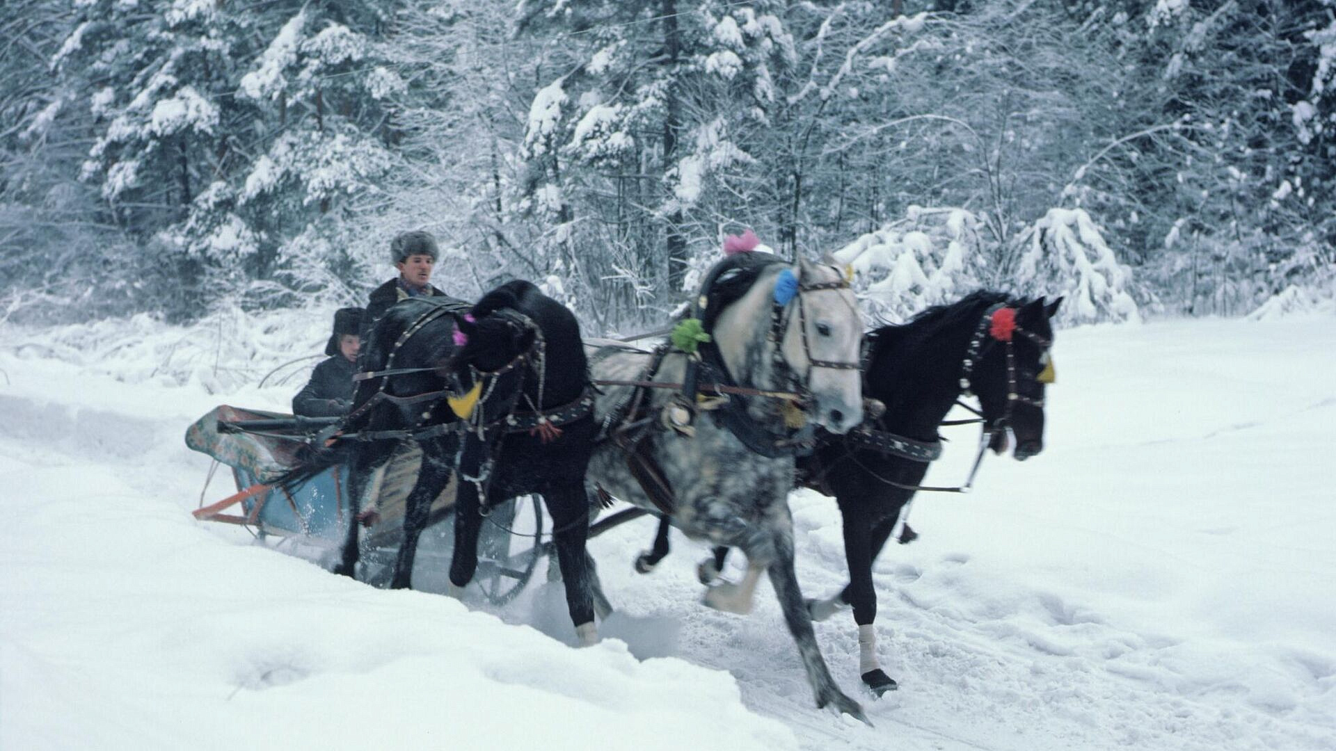 ������� ������ ����� � ����������� �������� ����� ������ � ������