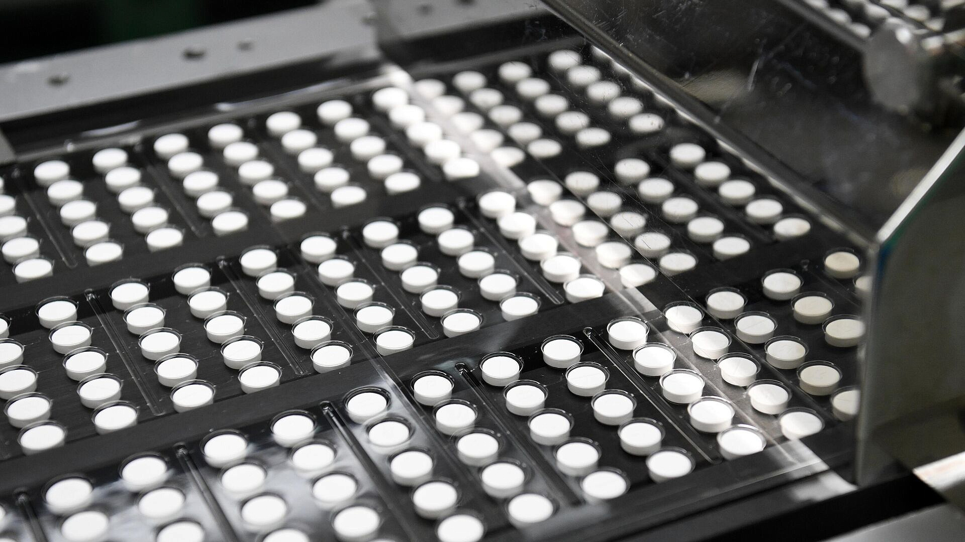 Россия должна стать мировым экспортером в фарминдустрии, считает эксперт