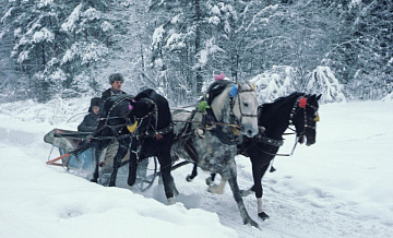 ������� ������ ����� � ����������� �������� ����� ������ � ������