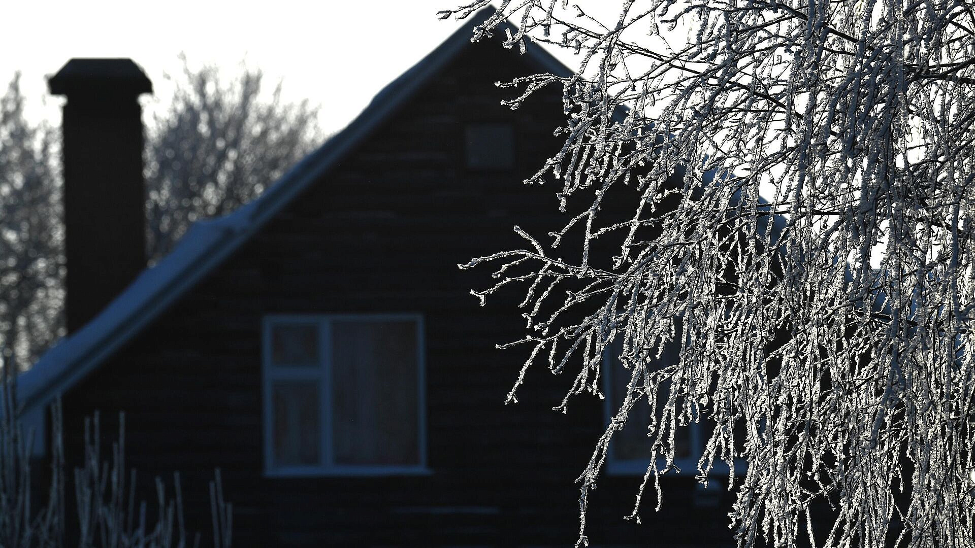 Юрист напомнила, сколько времени осталось у дачников на освоение земель