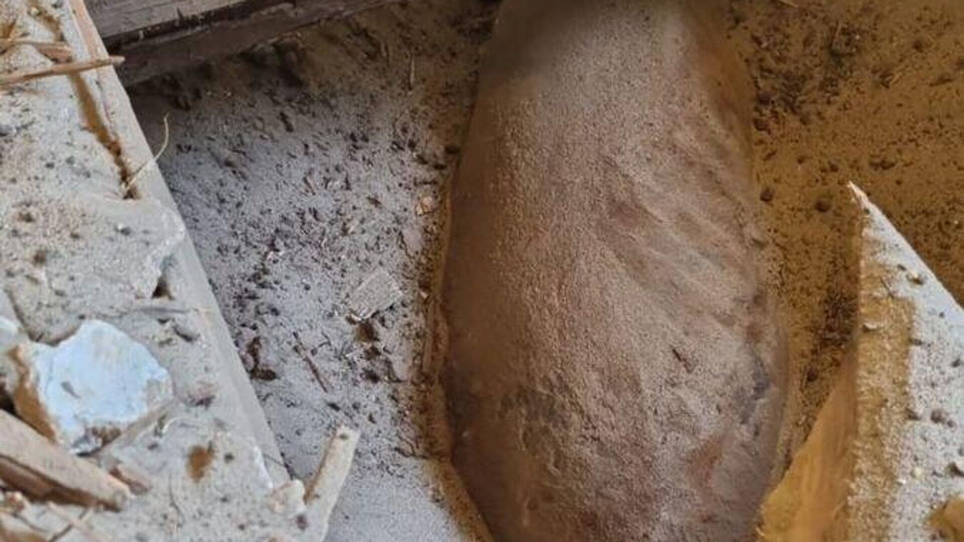 Польская семья почти 80 лет жила с авиабомбой под домом