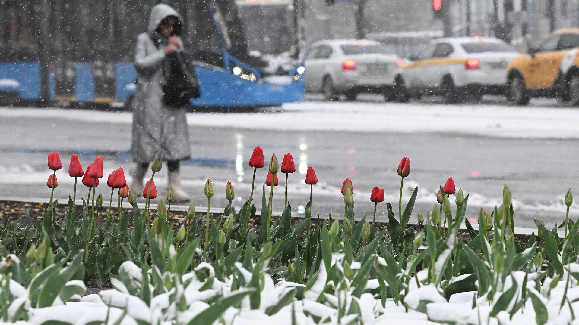 Вильфанд рассказал о погоде в Москве в выходные