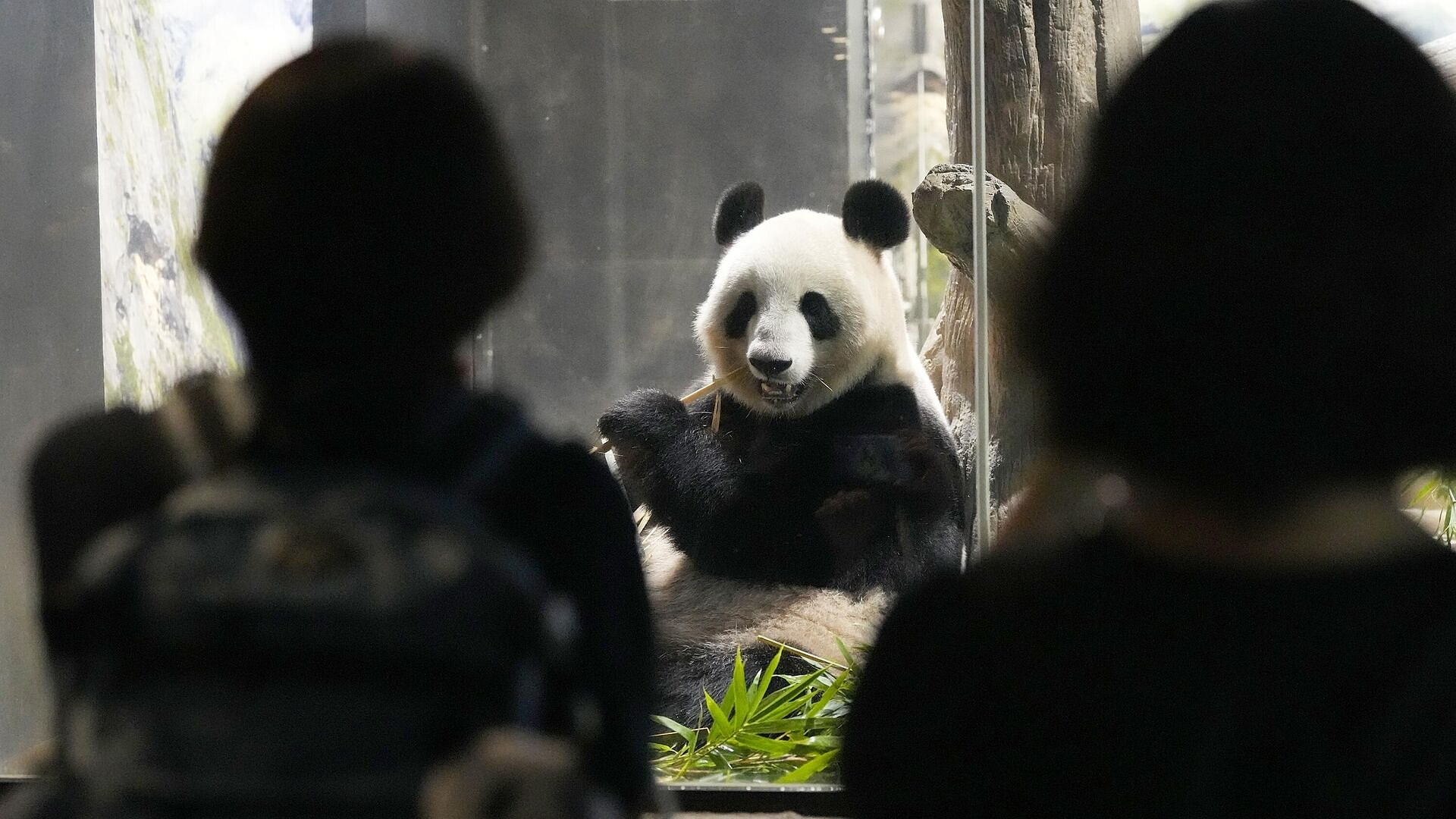 ������ ������� � 1973 ���� ������� ���� ���� � ����� ���������