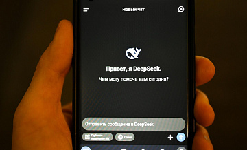 ������ ����������� ��������� DeepSeek ��� �����������