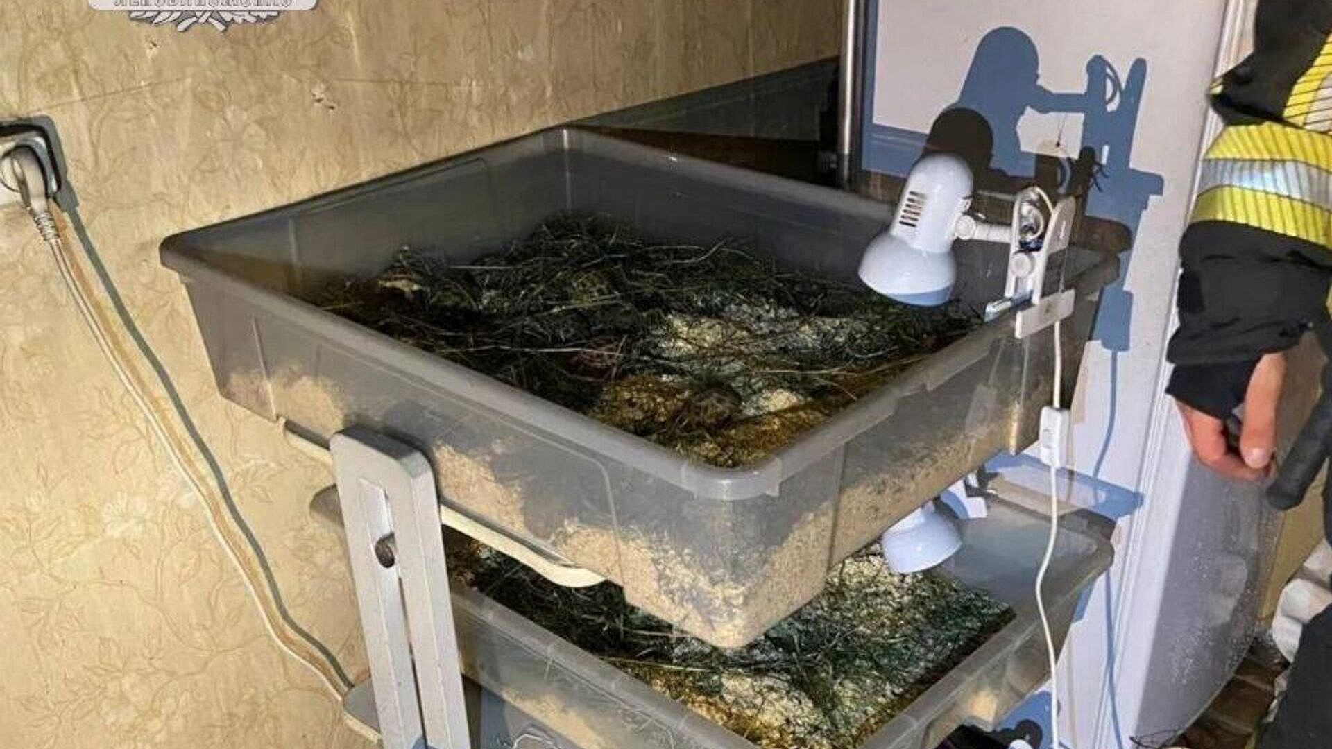 В Ленинградской области при пожаре в квартире спасли 700 черепашек