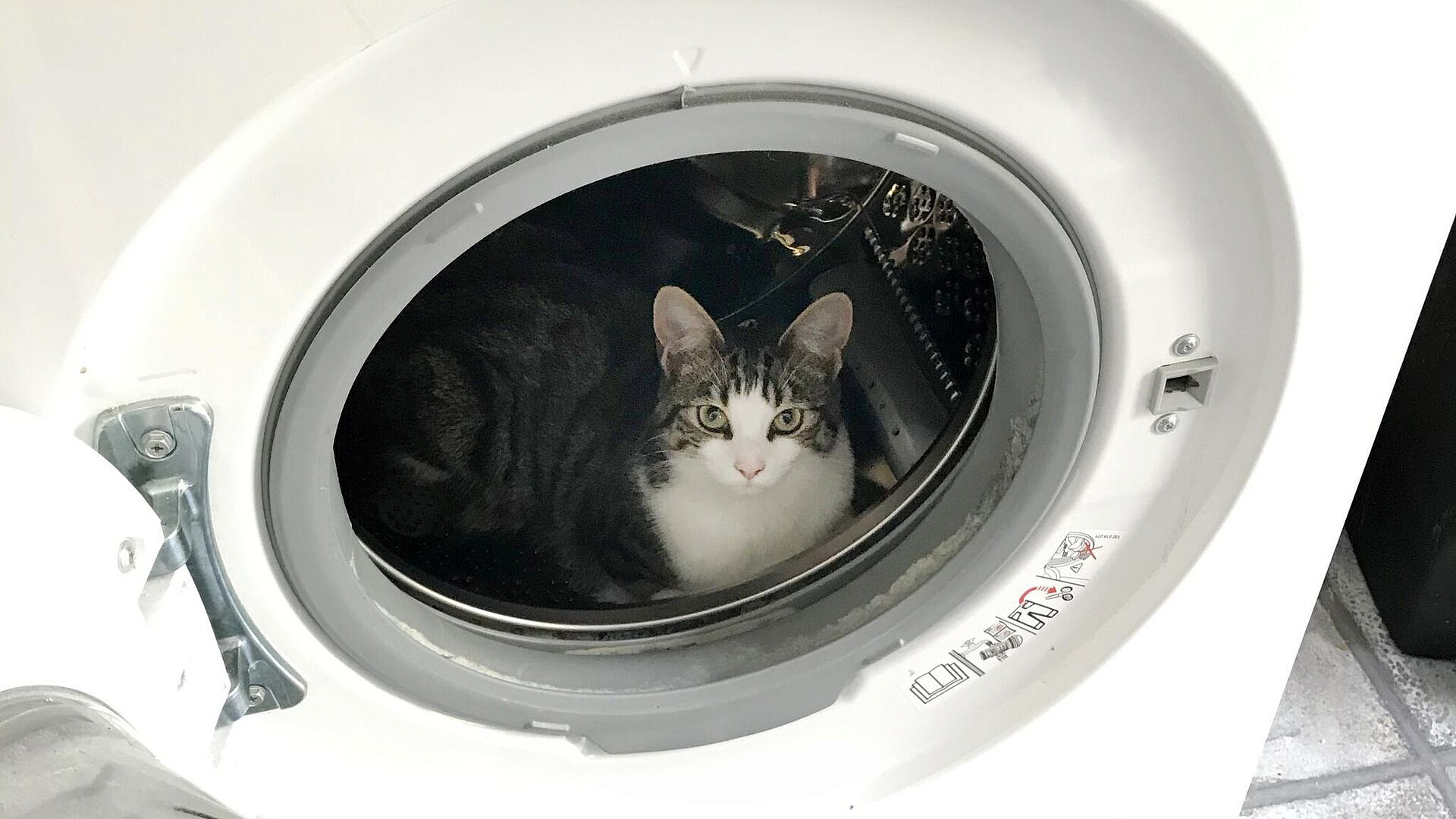 Россиян предупредили о штрафах за стирку в вечернее время