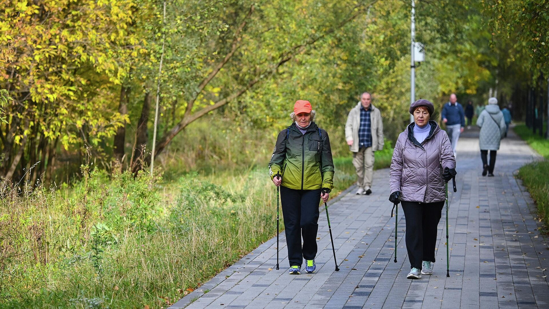 � ������ �������� ����������� �����������