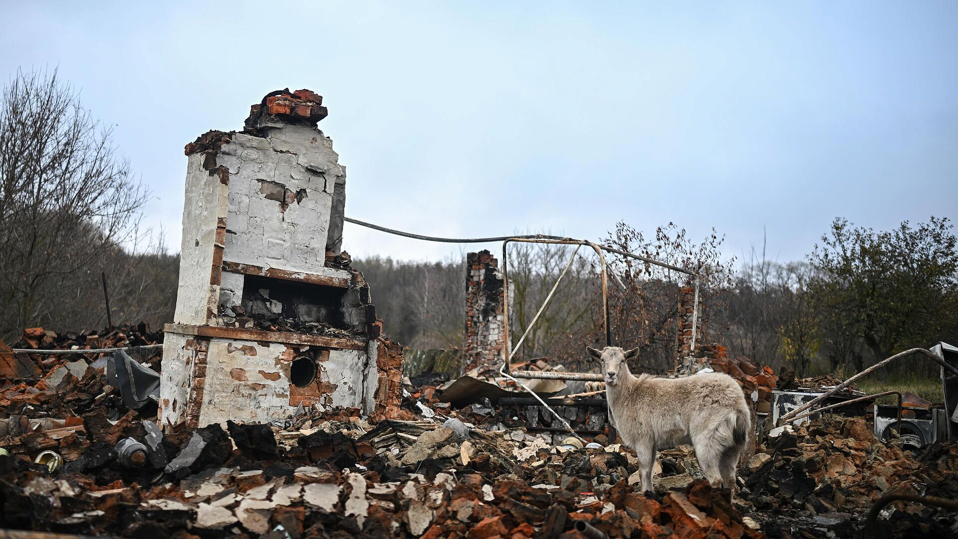 РКК получил шесть тысяч заявок на поиск пропавших жителей Курской области
