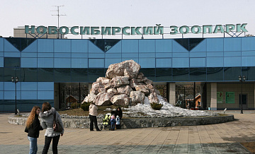Новосибирский зоопарк возобновит работу после пожара
