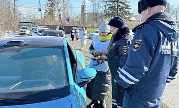 Госавтоинспекция призвала россиян ответственно подходить к перевозке детей