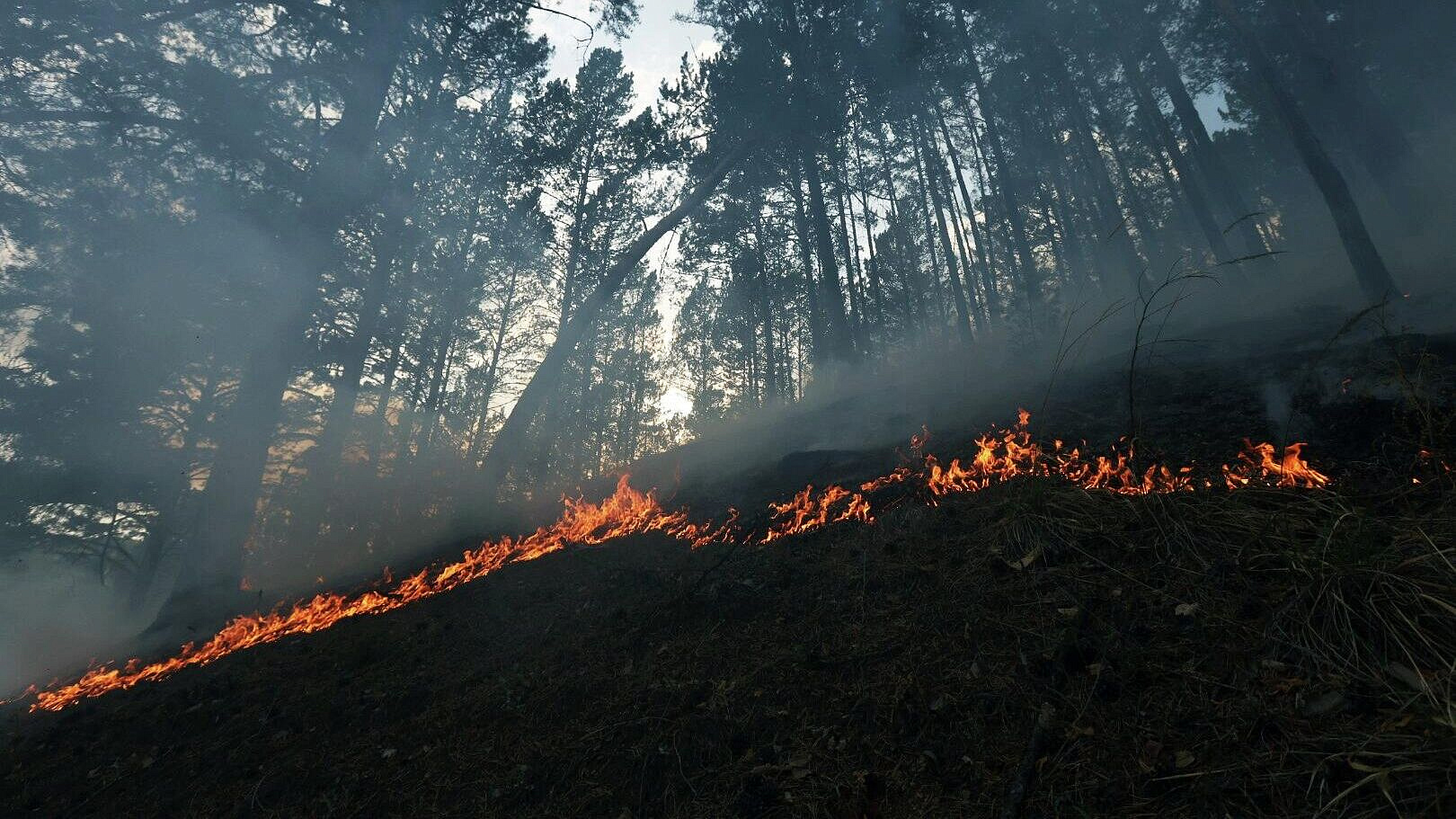 � ������������ ���������� ��������� ������� ������