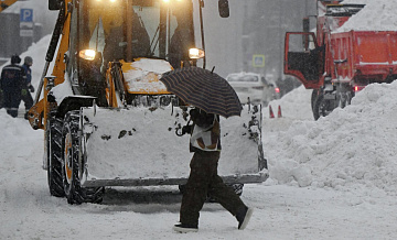 Раскрыто, как обильные снегопады отразятся на урожае в России
