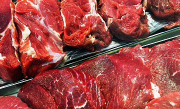 Мишустин рассказал о росте экспорта мяса и молока