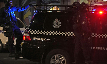 Четырех австралийцев подозревают в выращивании пяти тысяч кустов каннабиса