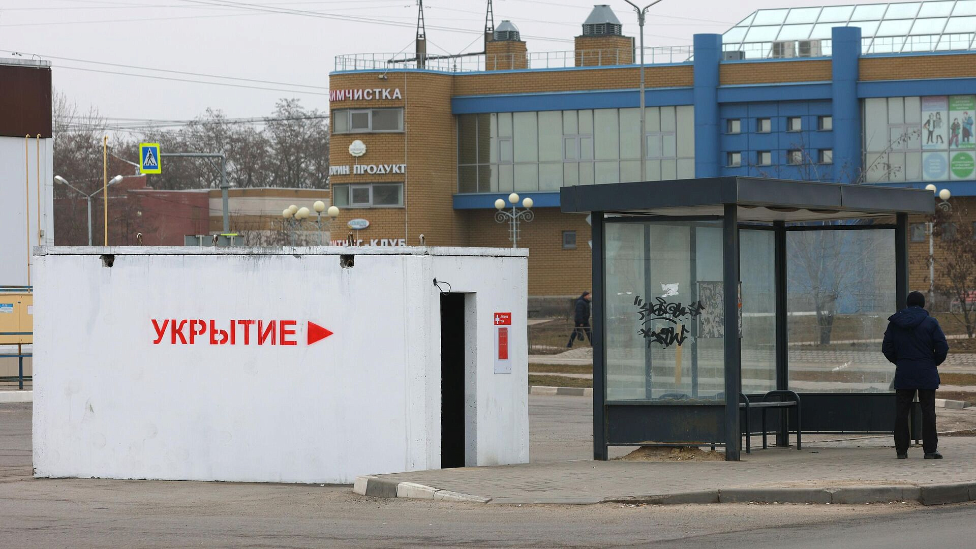 Пушилин предложил Белгороду советы, как жить в условиях обстрелов