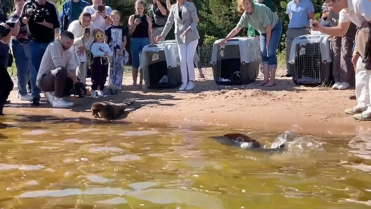 � ���������� ���������� ������� ��������� �����