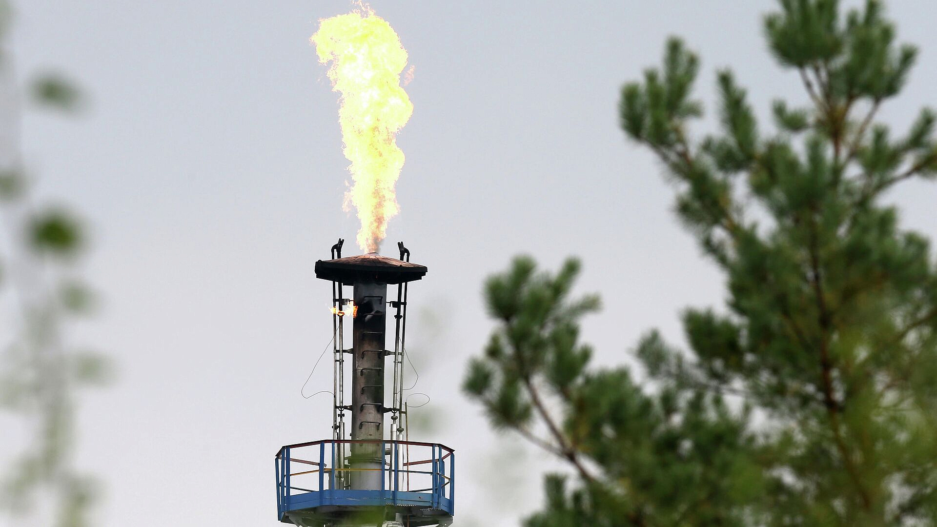 Министр экономики Словакии заявила о новой атаке на нефтепровод "Дружба"